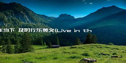 活在当下 及时行乐英文(Live in the present and enjoy life.)